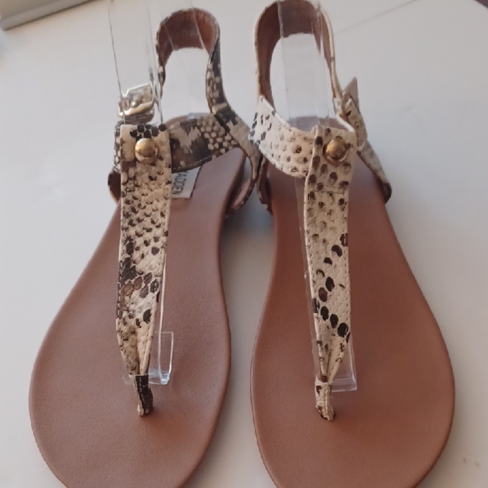 Steve Madden Delray Size 7m Thong Sandals With Buckles